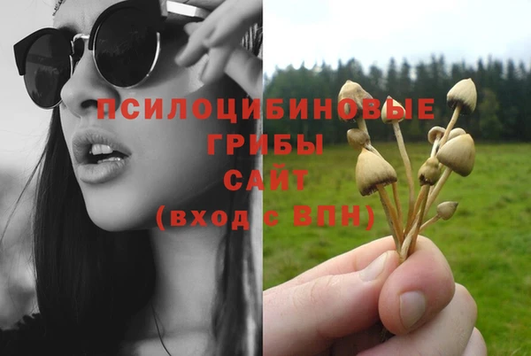 MDMA Premium VHQ Зеленокумск