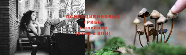 MDMA Premium VHQ Зеленокумск