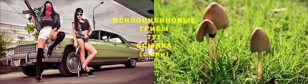 MDMA Premium VHQ Зеленокумск