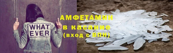 прущие грибы Каменск-Шахтинский