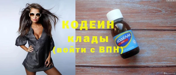 прущие крисы Каменка