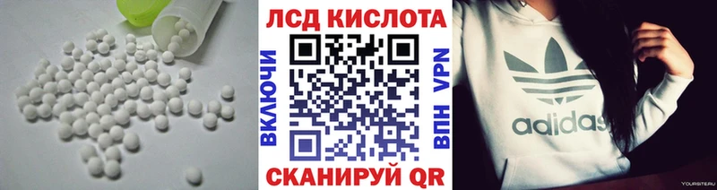 где продают наркотики  Зубцов  ЛСД экстази ecstasy 