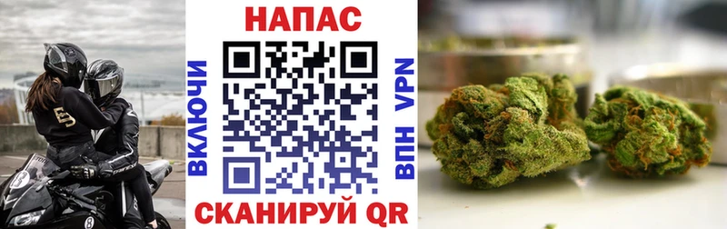 Конопля план  Зубцов 